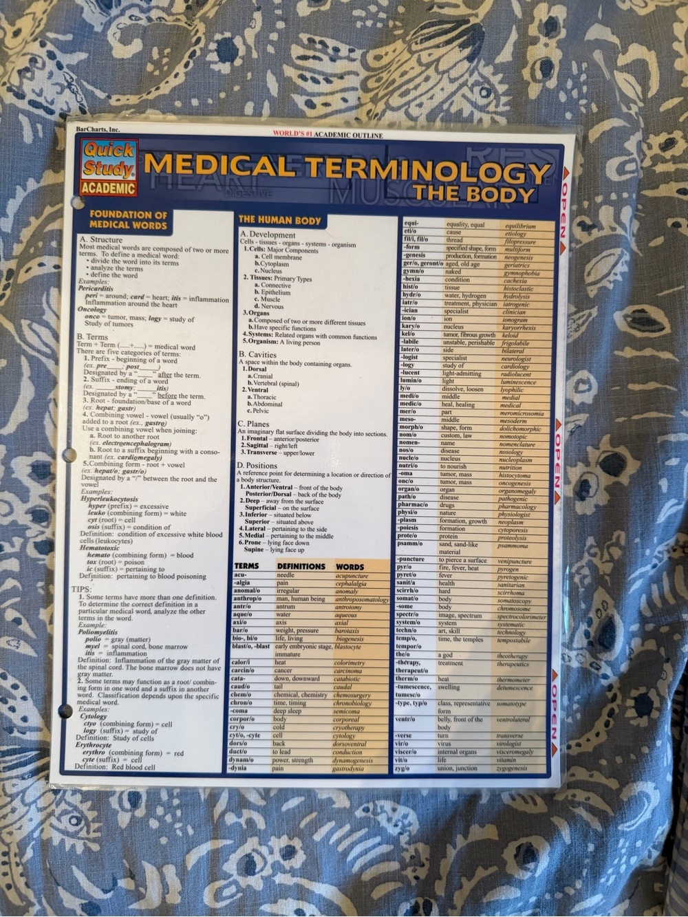 Medical Terminology The Body Study Guide